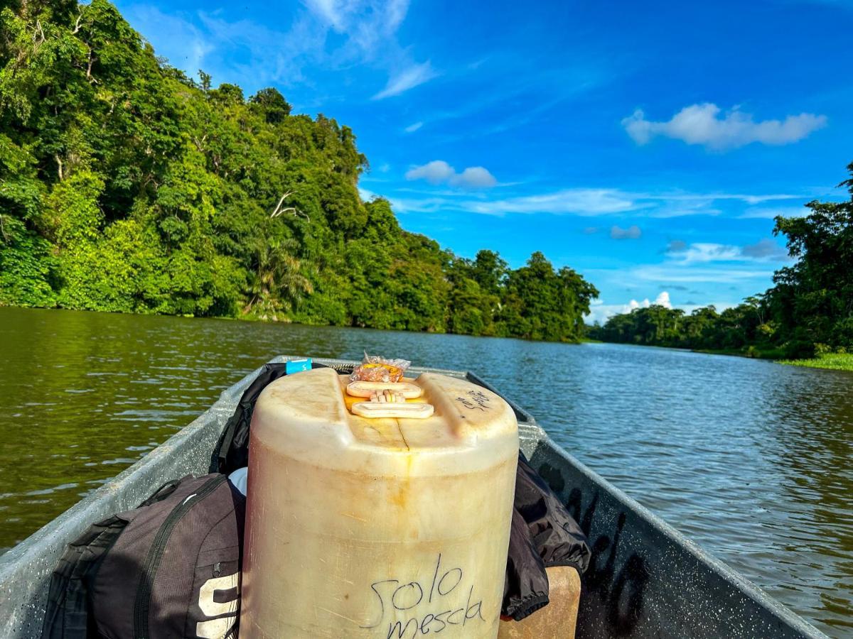 Departamento 7 Tortugueroアパートメント エクステリア 写真