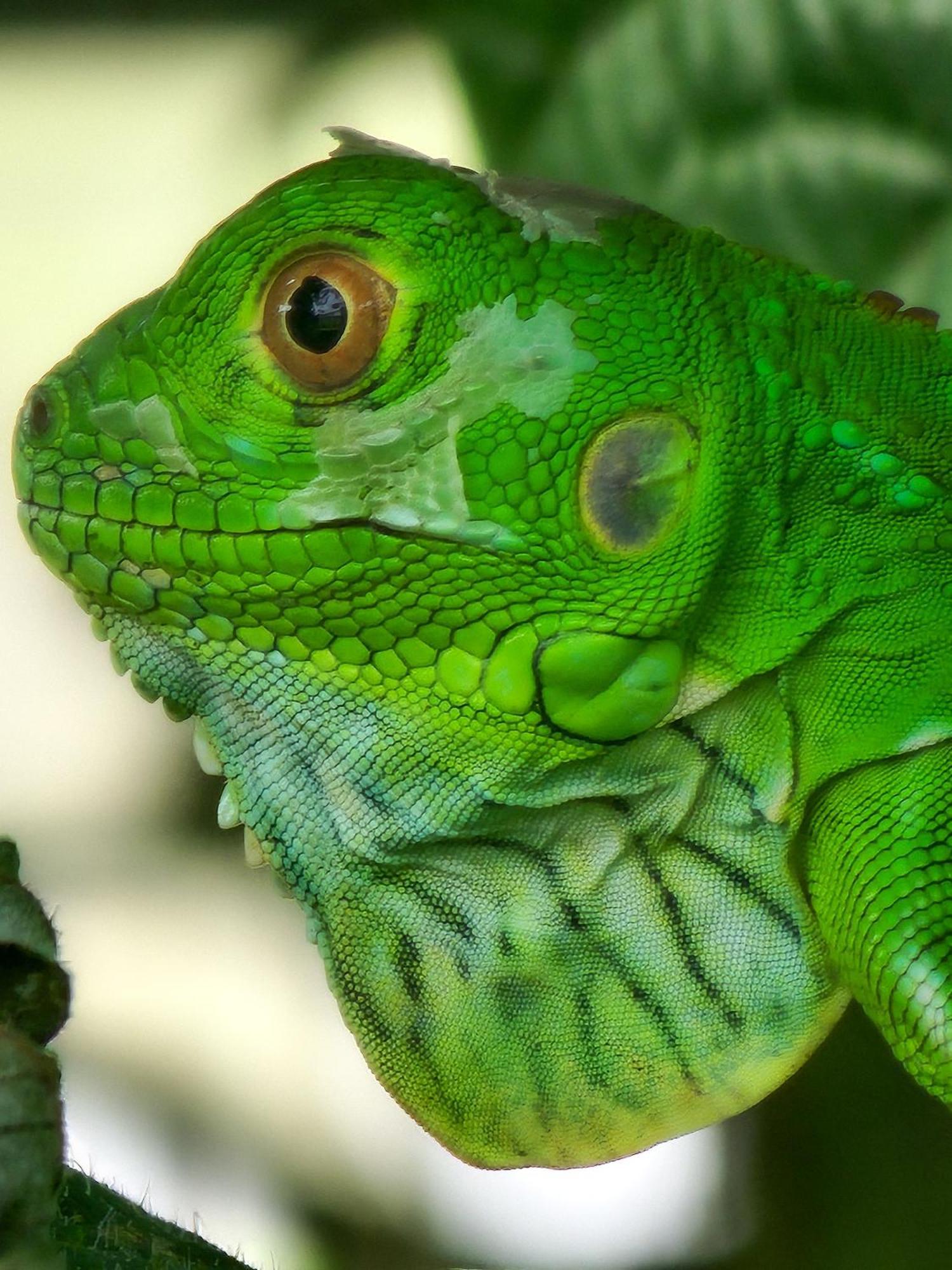 Departamento 7 Tortugueroアパートメント エクステリア 写真
